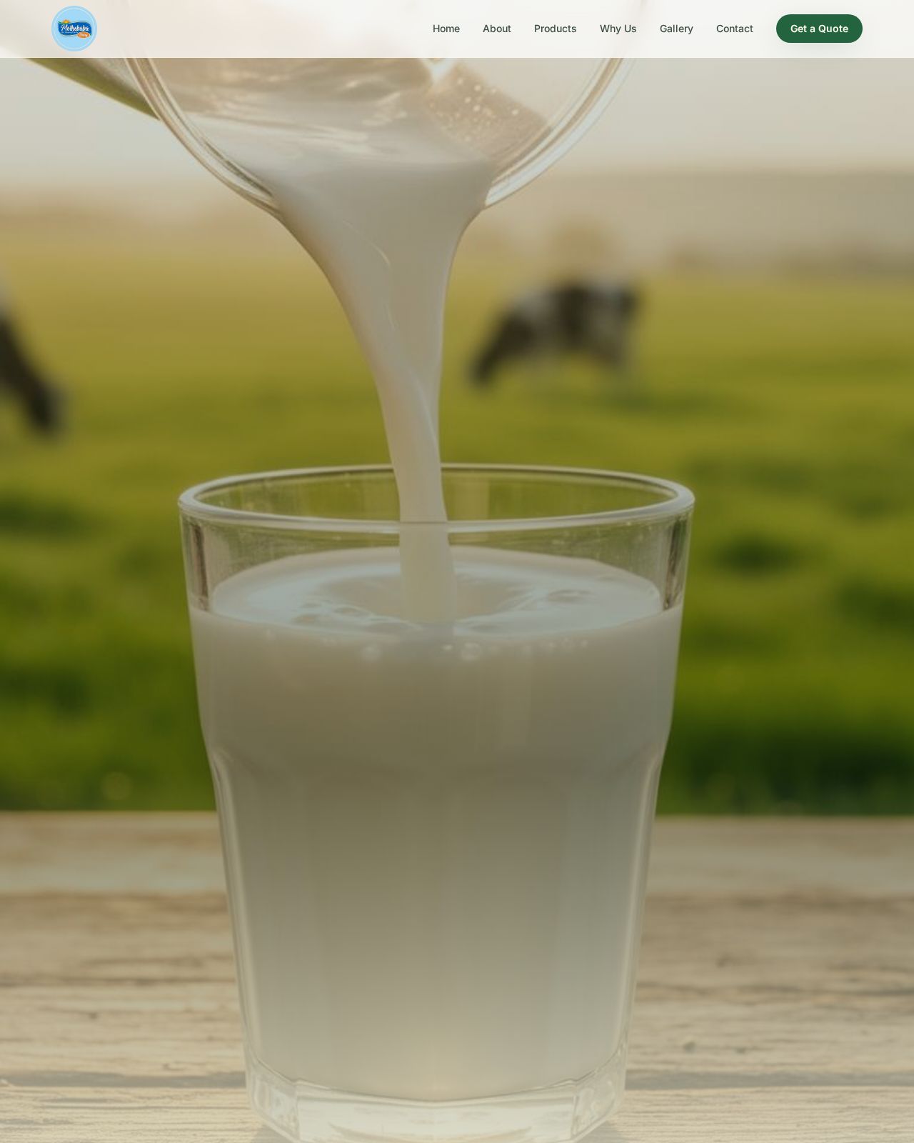 MotheBaba Dairy, Kolhar website preview